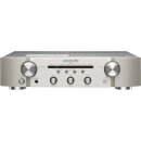 PM6007/NlSG