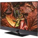 Aurus 55FA63 OLED twin